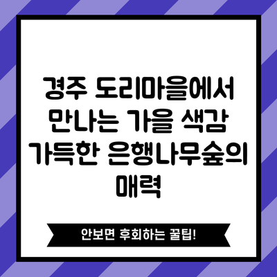 경주 도리마을에서 만나는 가을 색감 가득한 은행나무숲의 매력