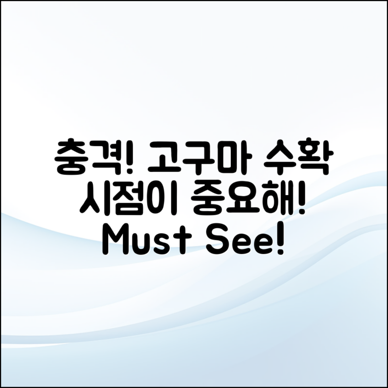 충격적인 고구마 수확 시점 중요성!