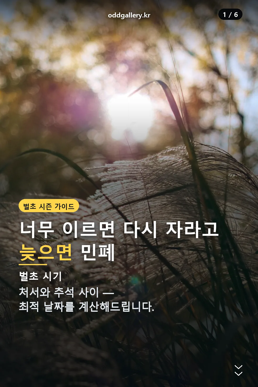 벌초 시기 표지