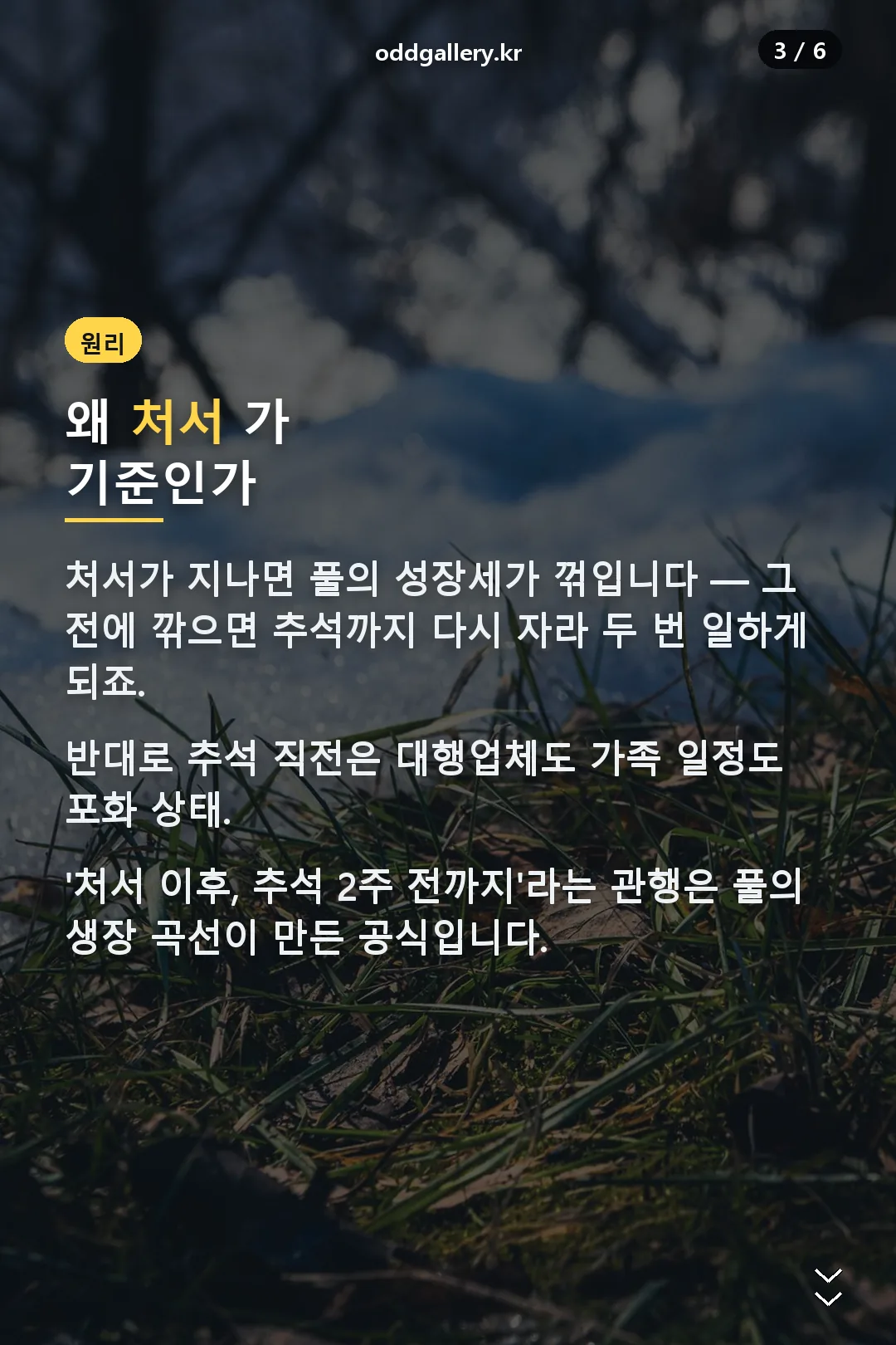 처서 기준 원리
