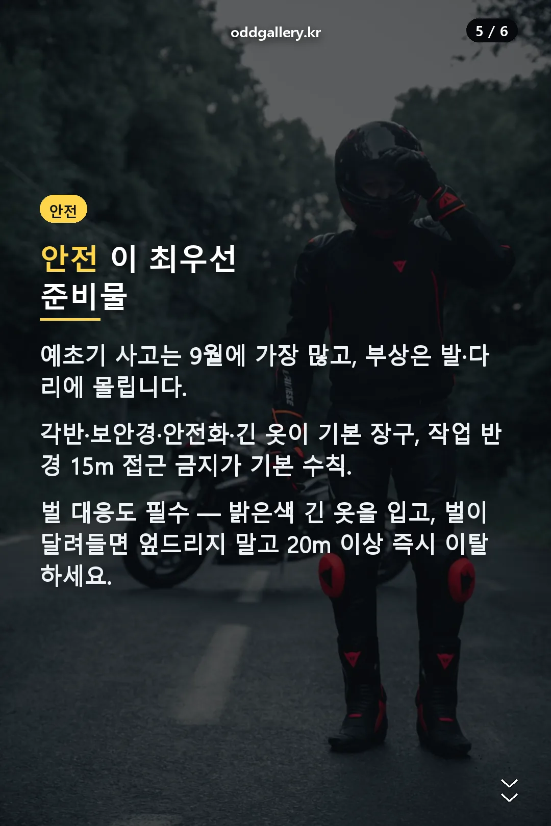 안전 준비물