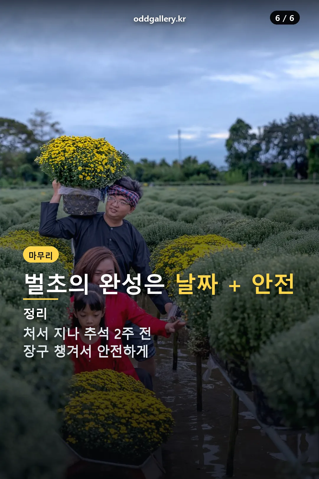 벌초 마무리