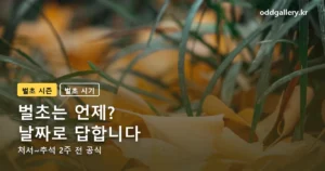 벌초 시기 정리 썸네일