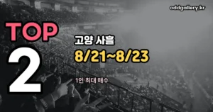 빅뱅 콘서트 2026 정리 썸네일