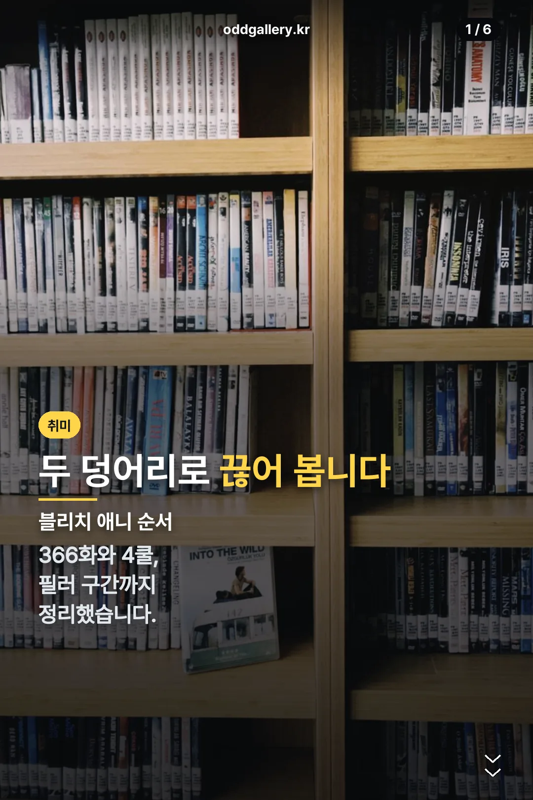 블리치 애니 순서 표지