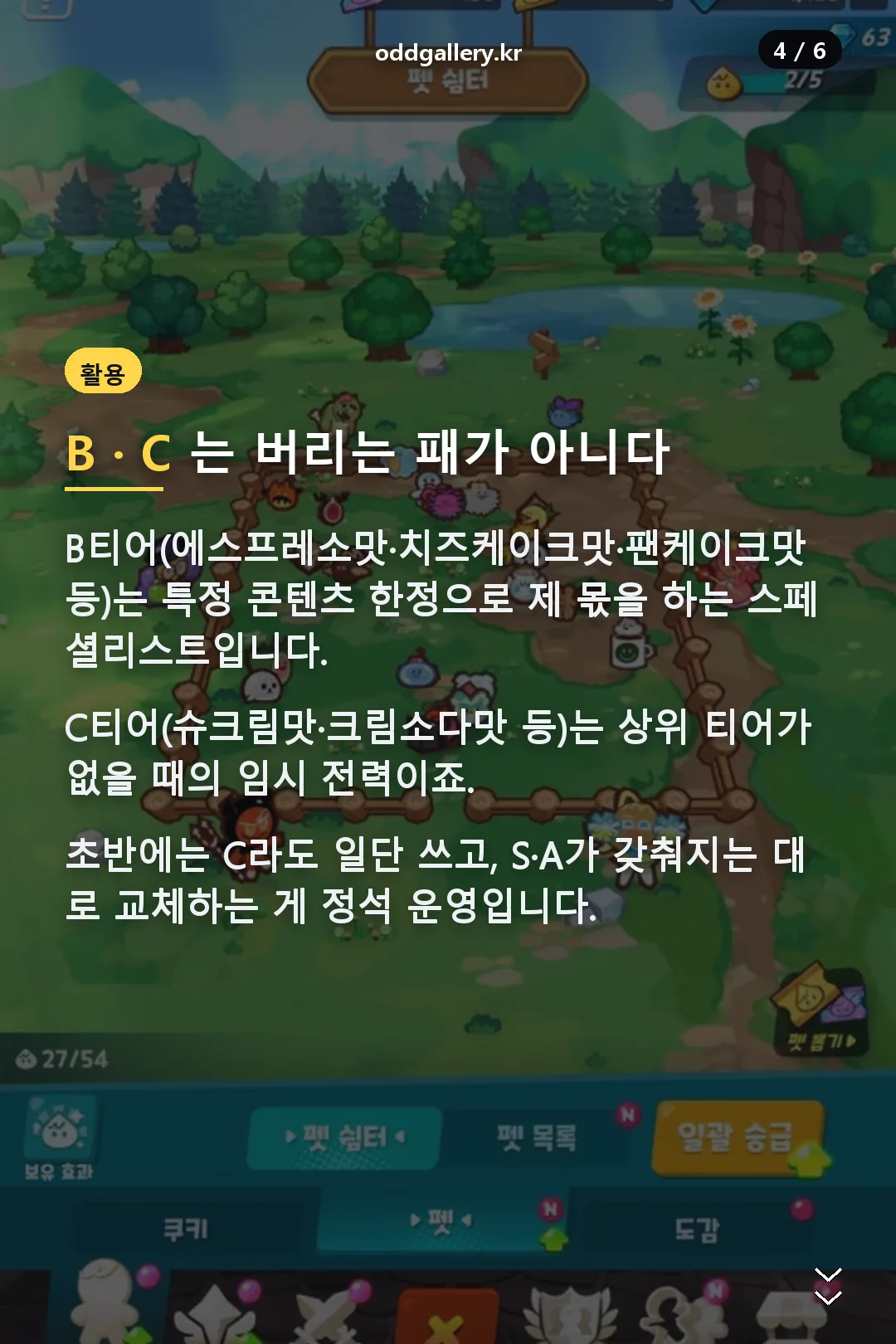 B C 티어 활용법