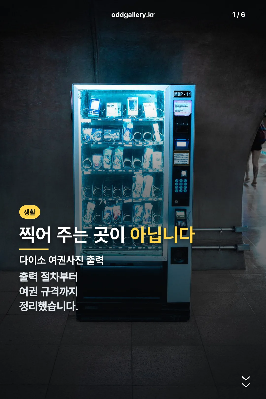 다이소 여권사진 출력 표지