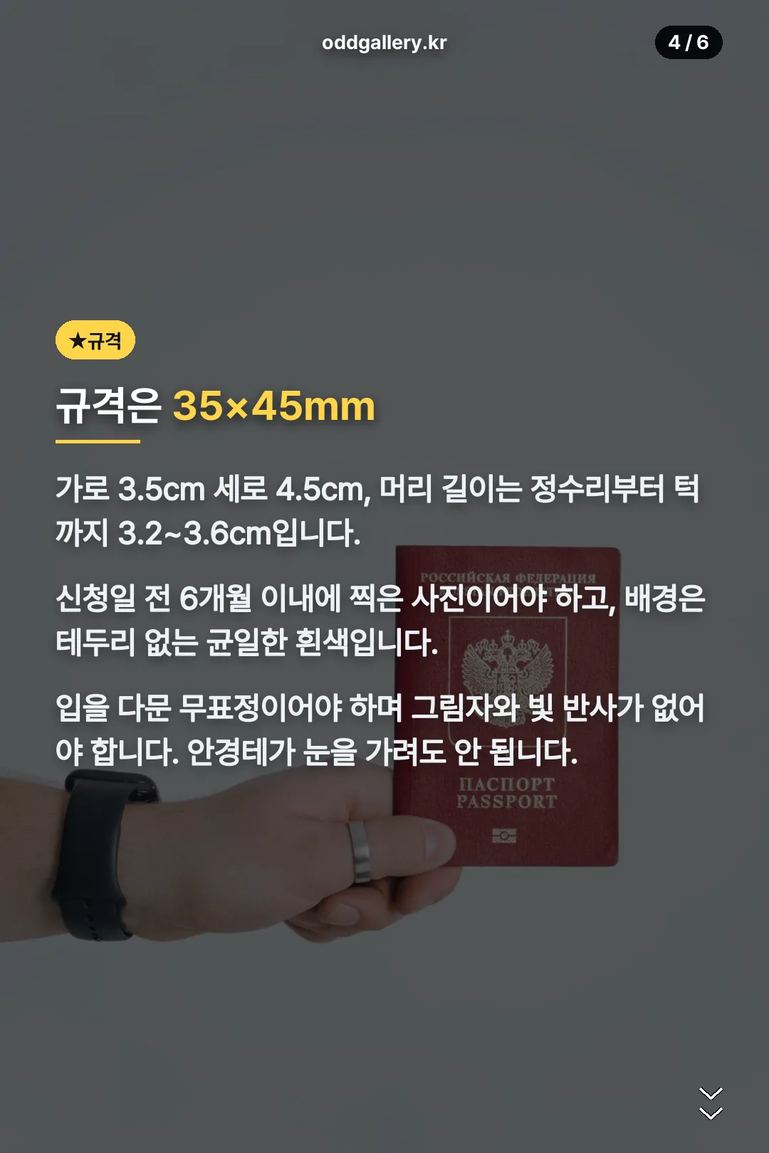 외교부 여권 사진 규격