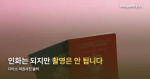 다이소 여권사진 출력 정리 썸네일