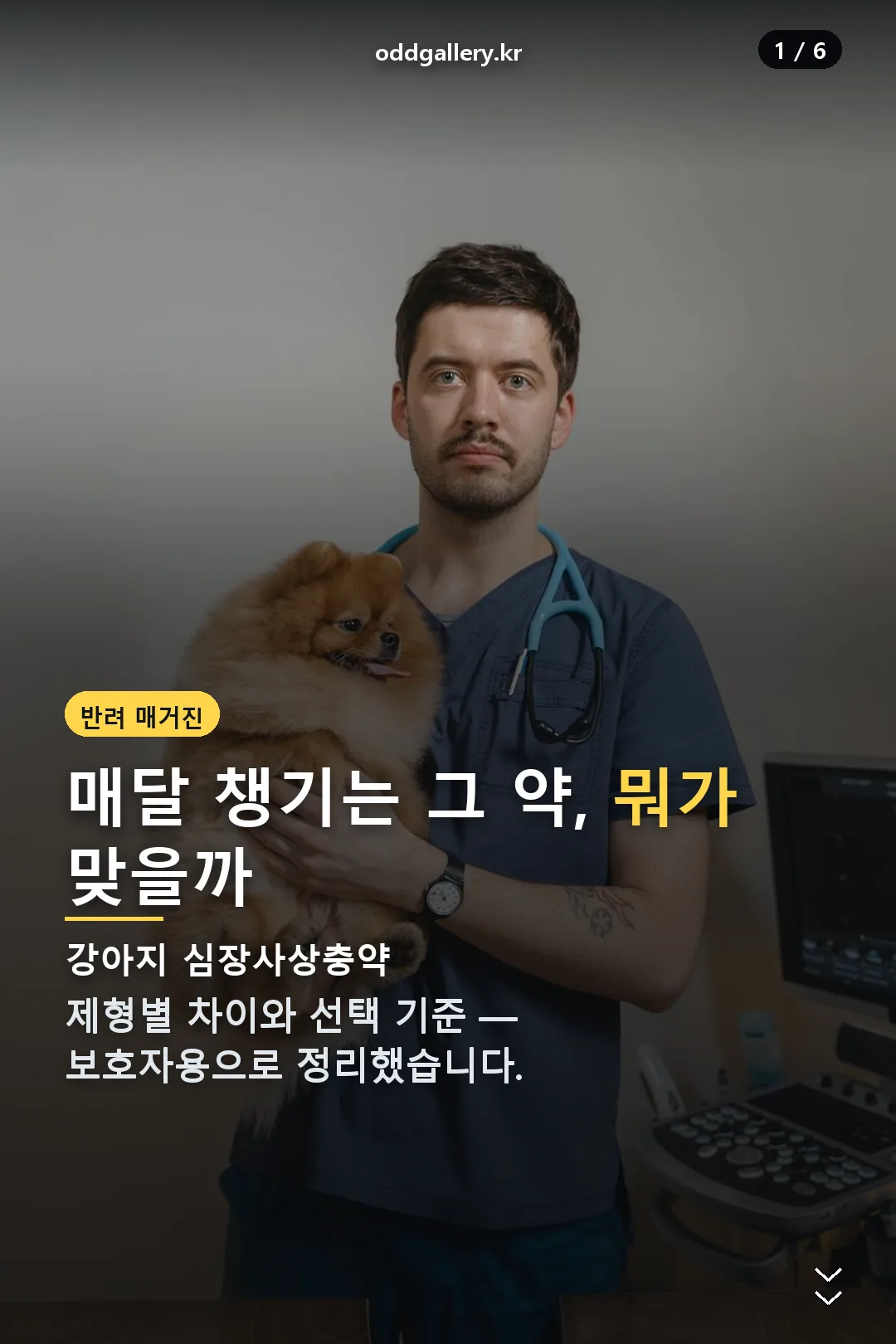 강아지 심장사상충약 표지