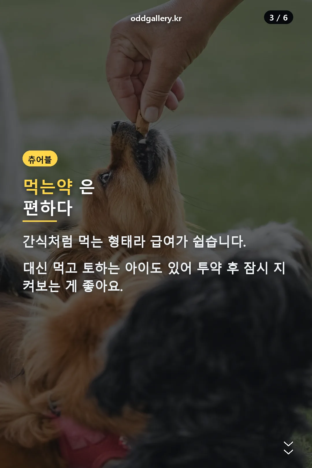 먹는약