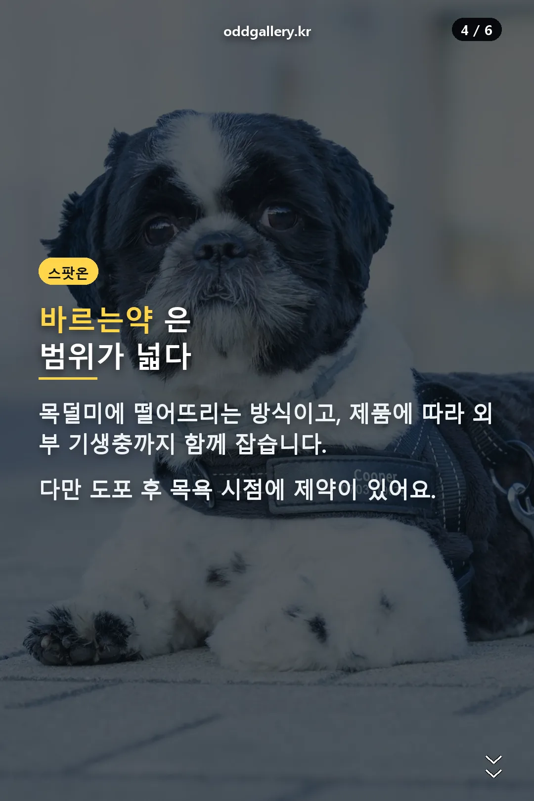 바르는약