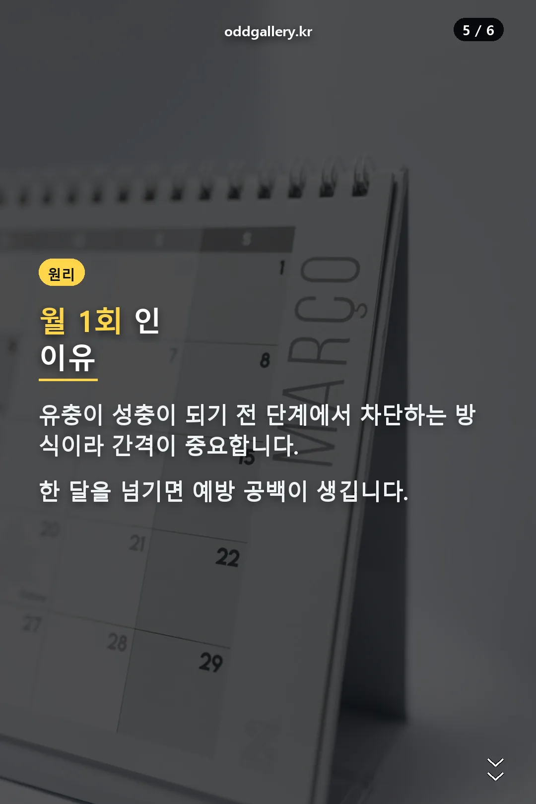 월 1회 주기