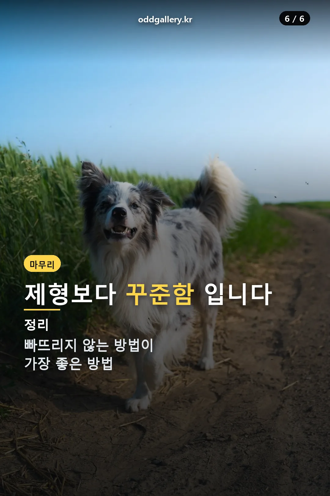 마무리