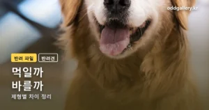 강아지 심장사상충약 정리 썸네일