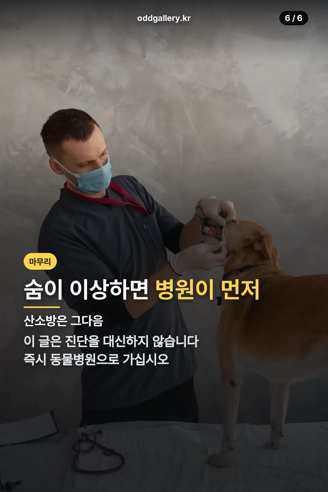 마무리 안내