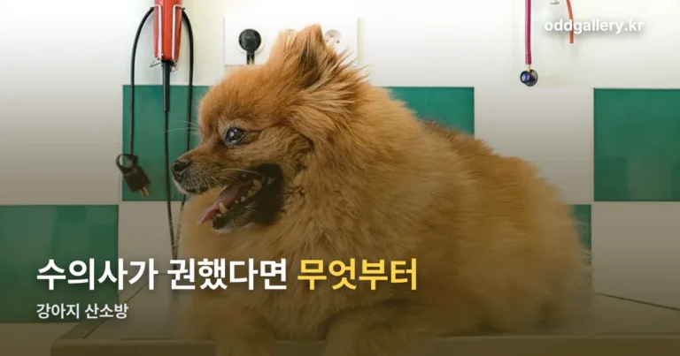 강아지 산소방 — 수의사가 권했다면 무엇부터 준비하나