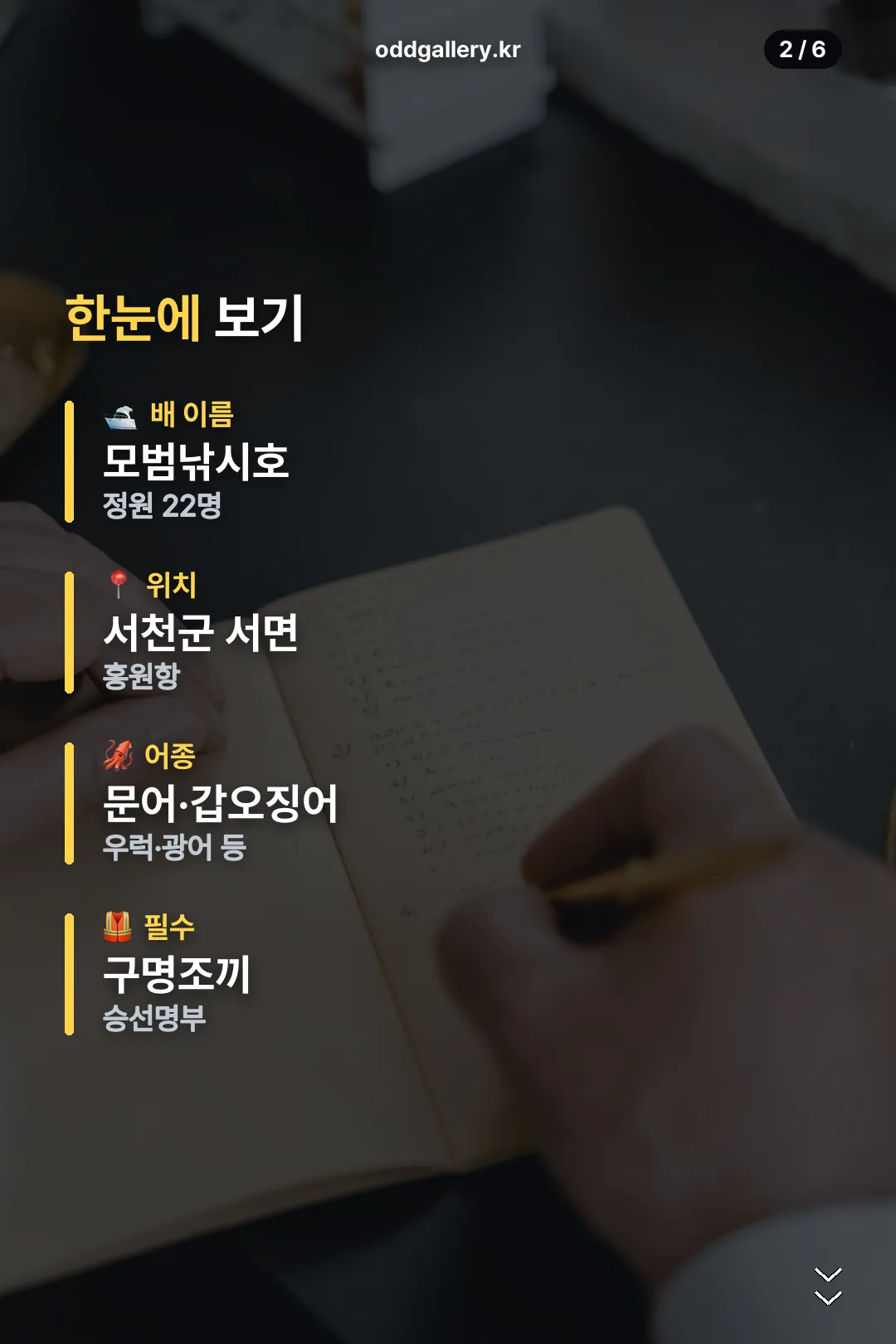 배·위치·어종 요약