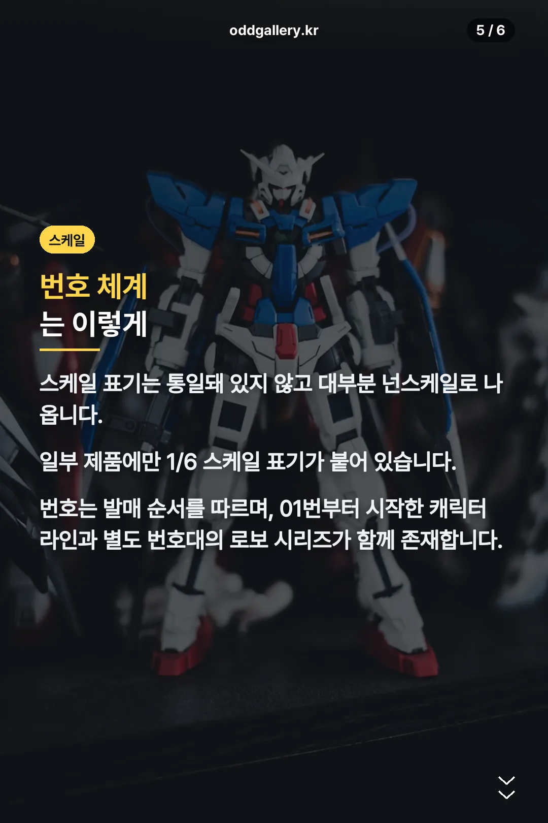 스케일과 번호 체계