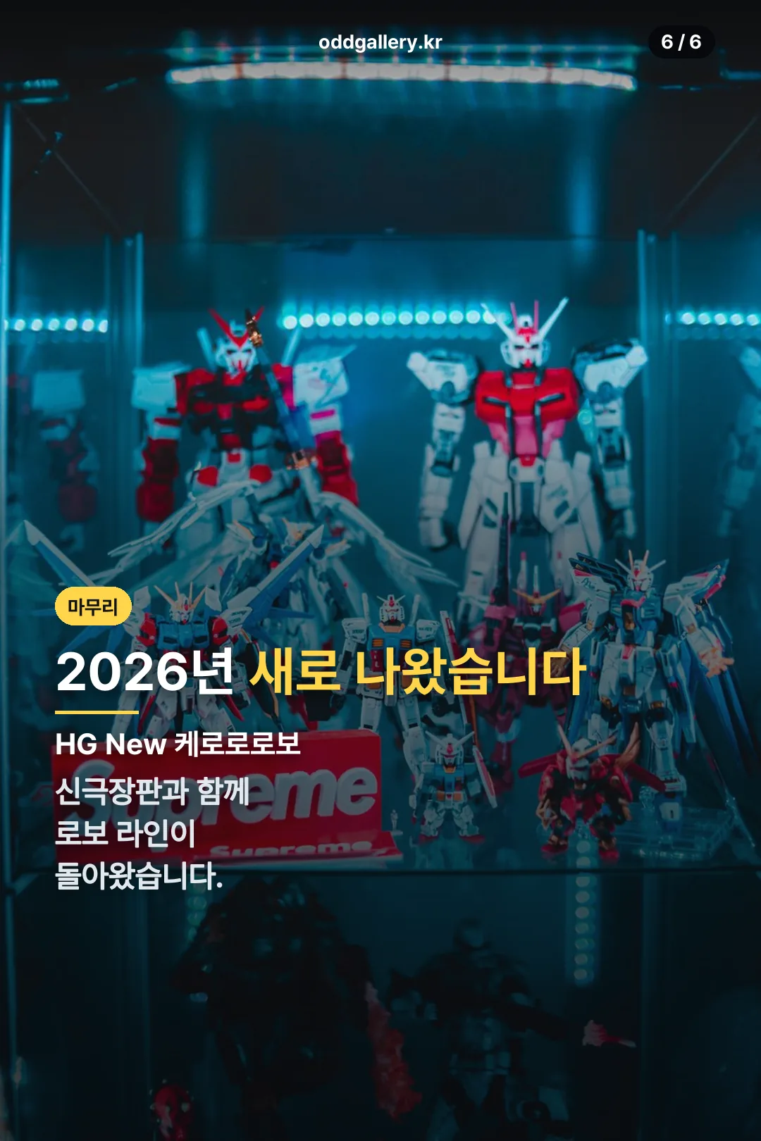 2026년 새 로보 라인