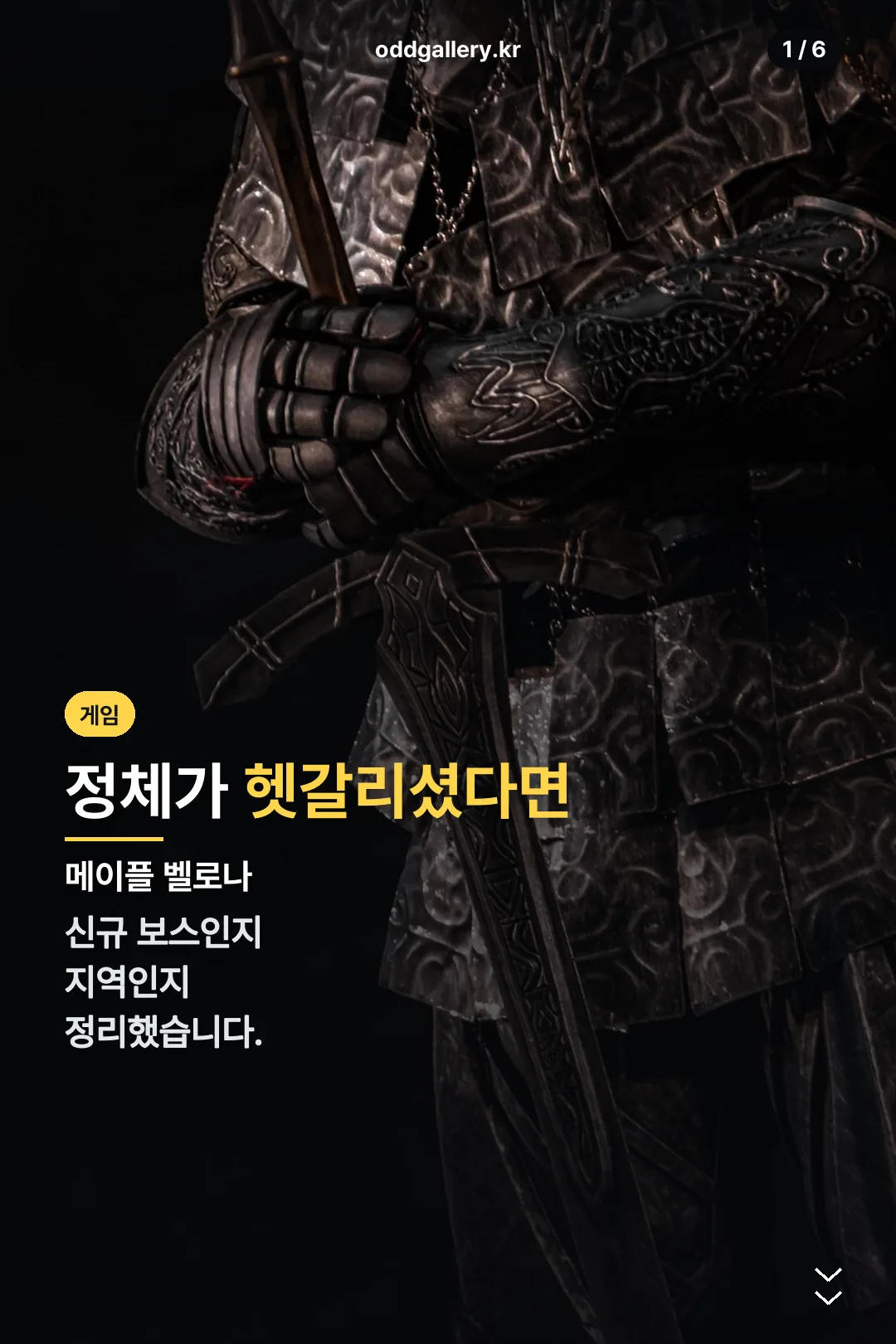 메이플 벨로나 표지