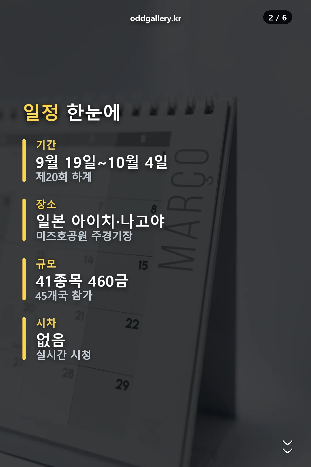일정 요약