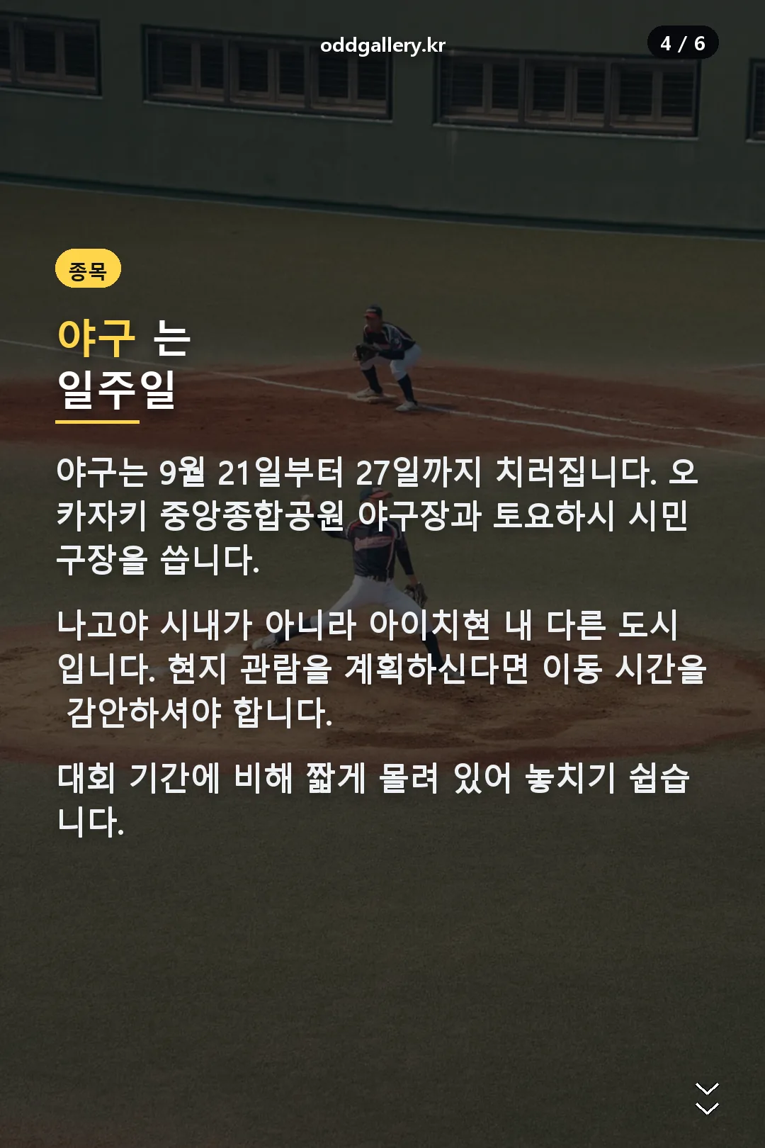 야구 일정