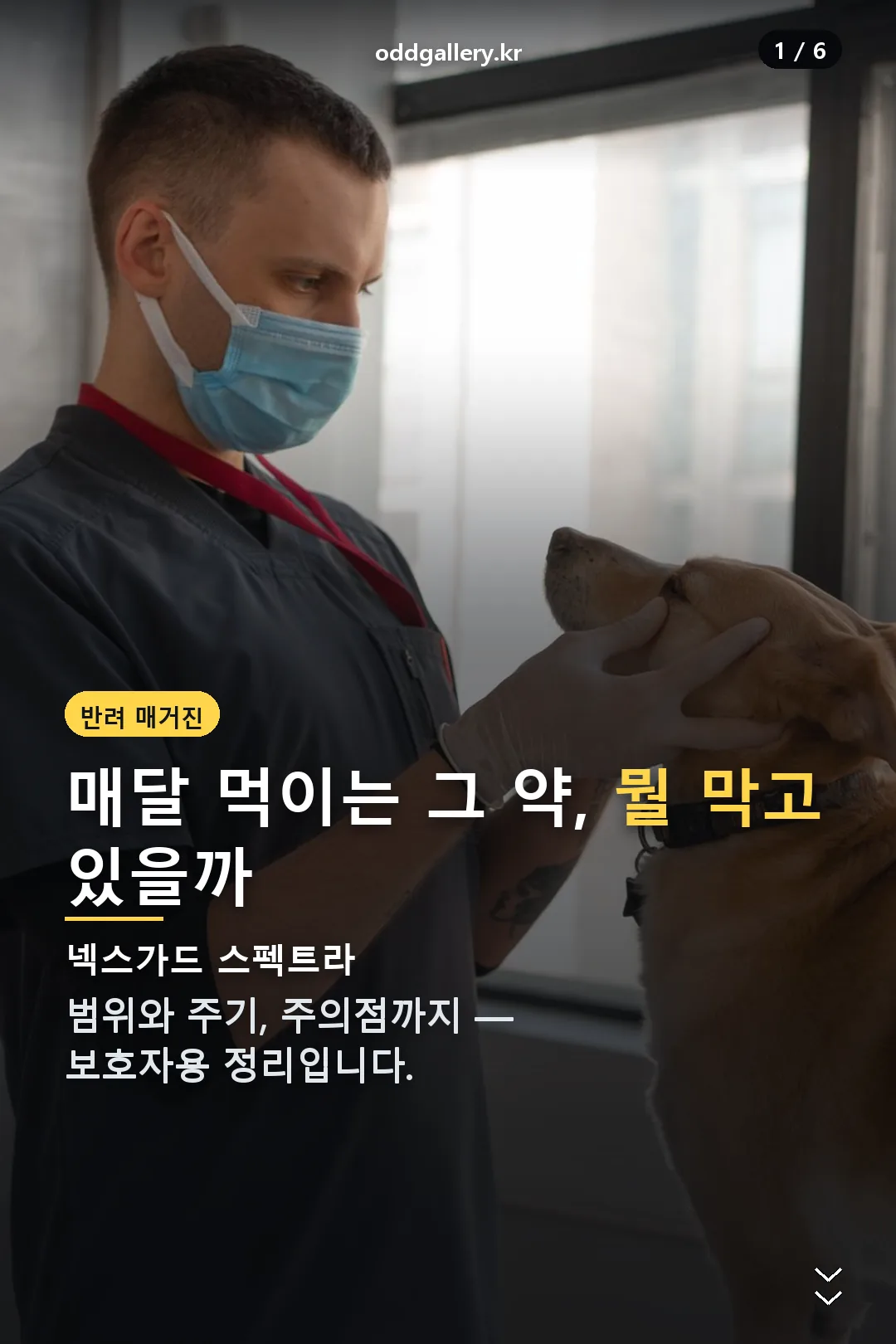 넥스가드 스펙트라 표지