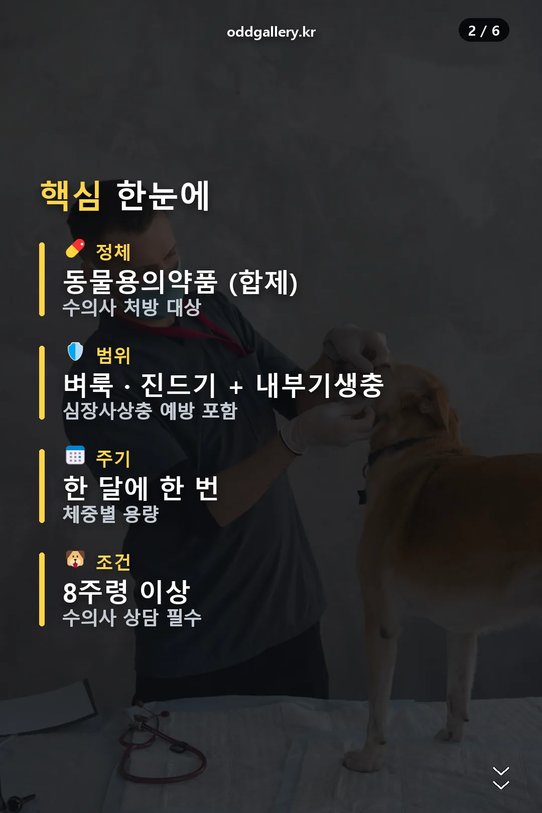 핵심 정보
