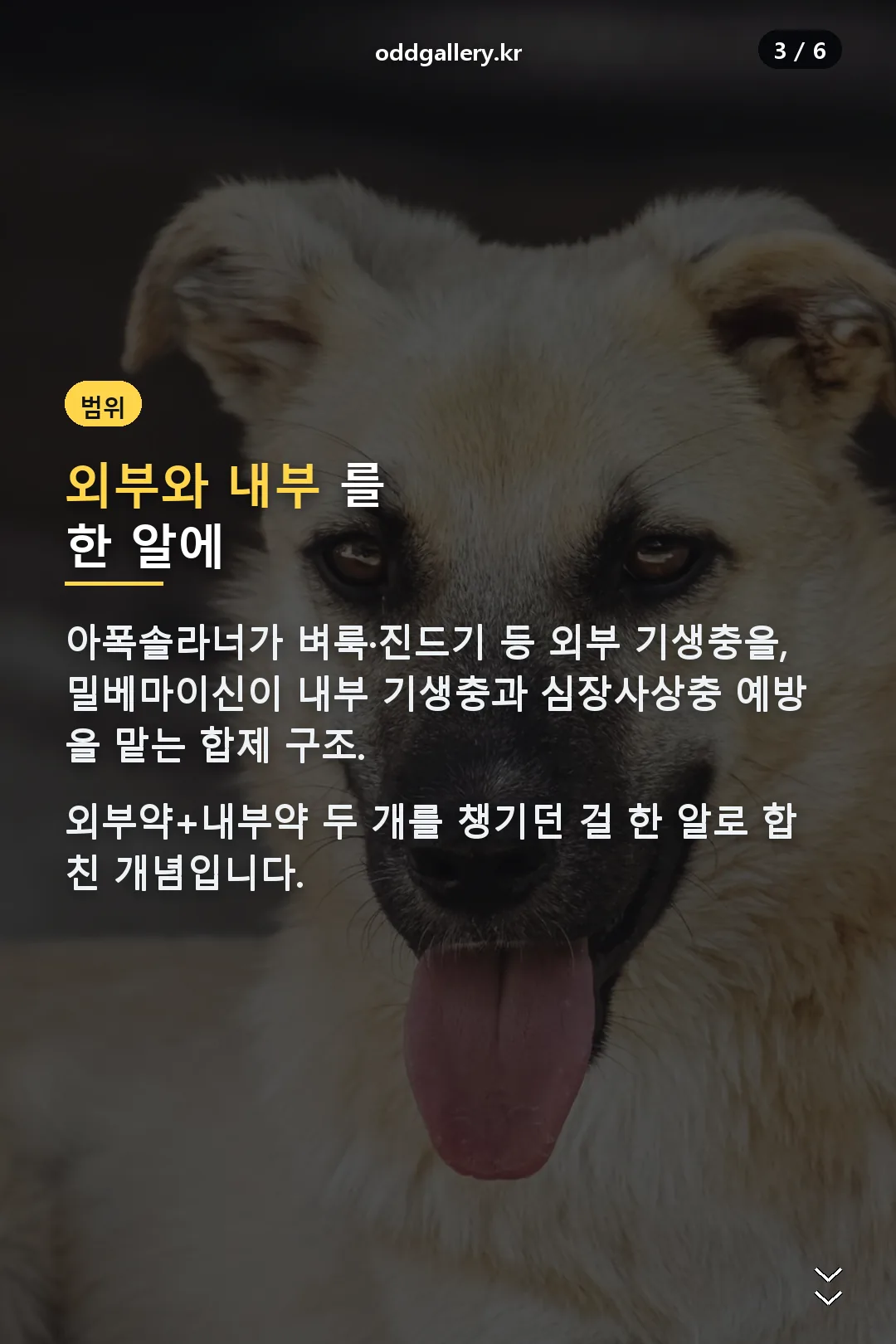 예방 범위