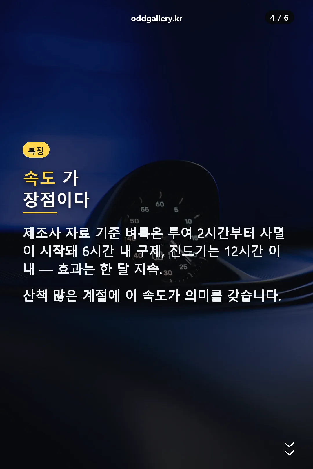 작용 속도