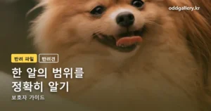 넥스가드 스펙트라 정리 썸네일