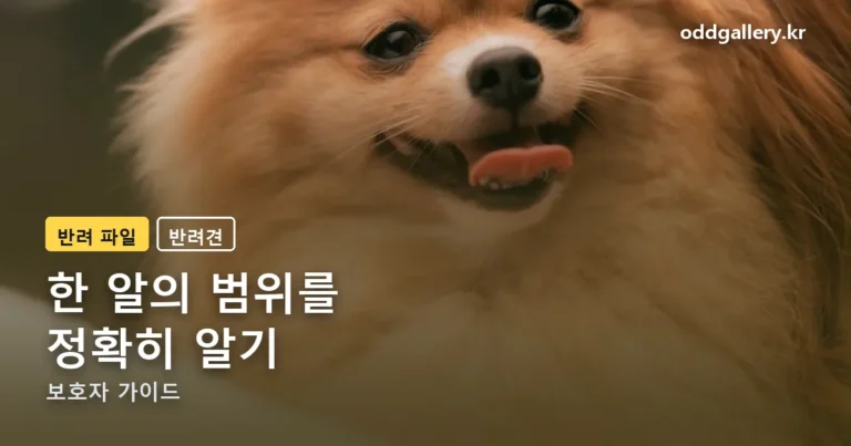 넥스가드 스펙트라 정리 썸네일