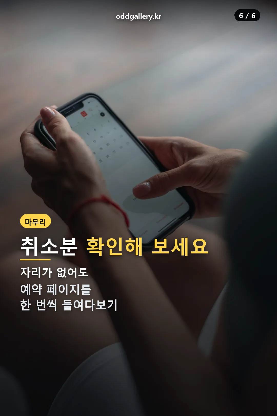 취소분 확인