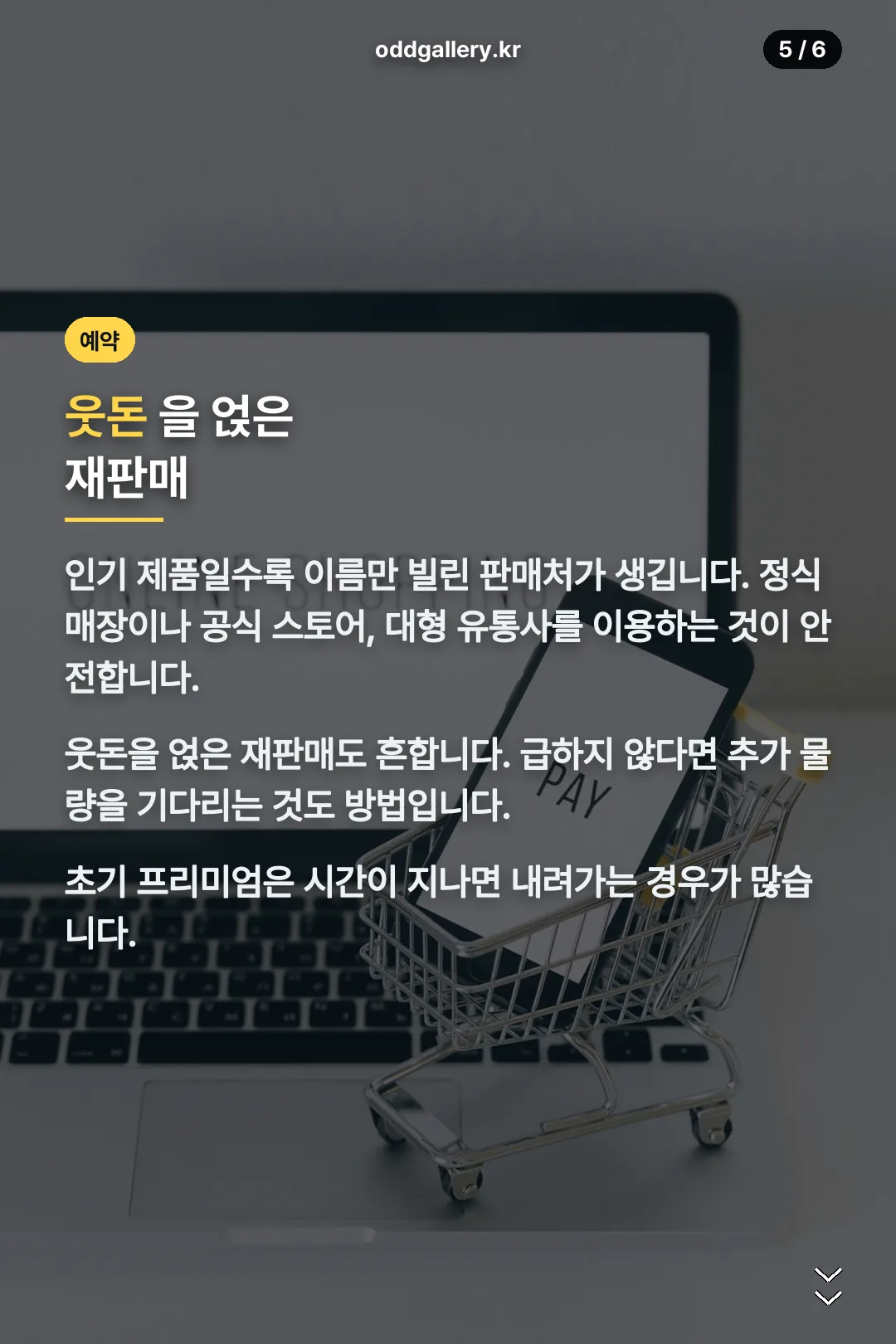 예약 판매 주의