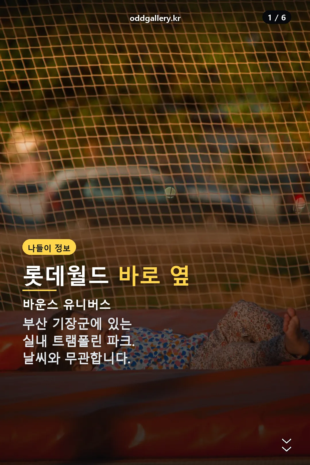 바운스 유니버스 표지