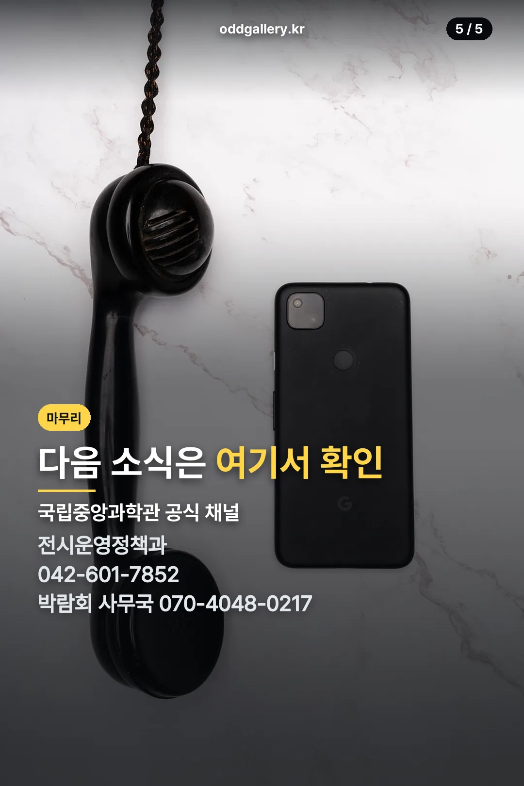 다음 소식 확인 방법