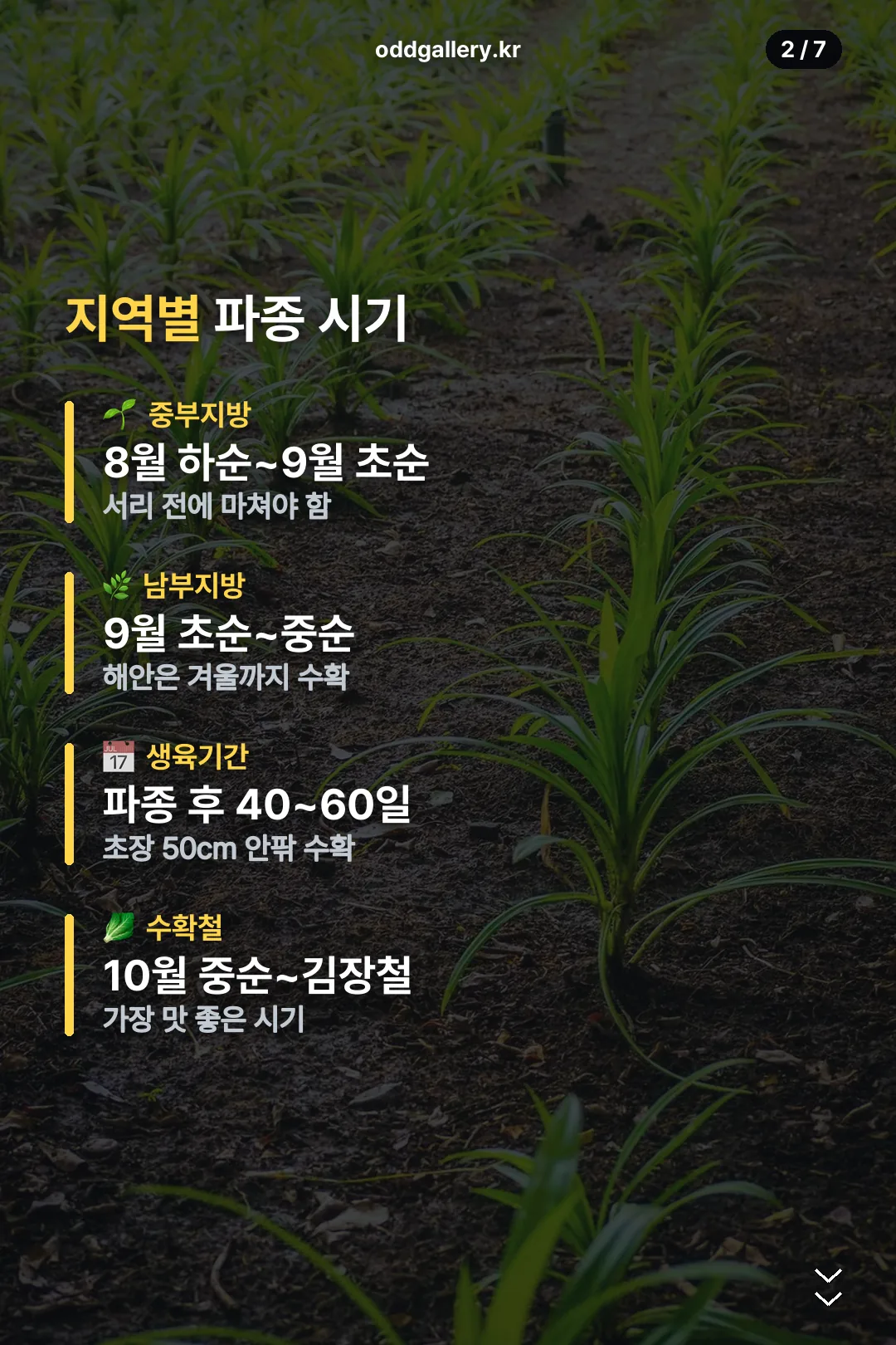 지역별 파종 시기 요약