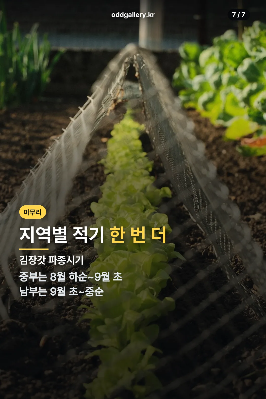 지역별 적기 요약