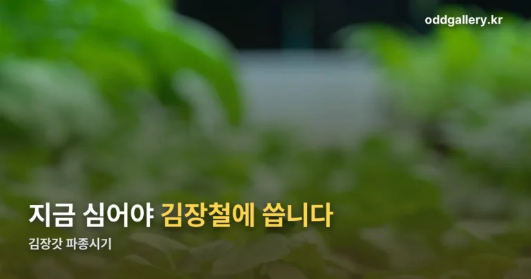 김장갓 파종시기 — 지역별로 심는 때가 다릅니다