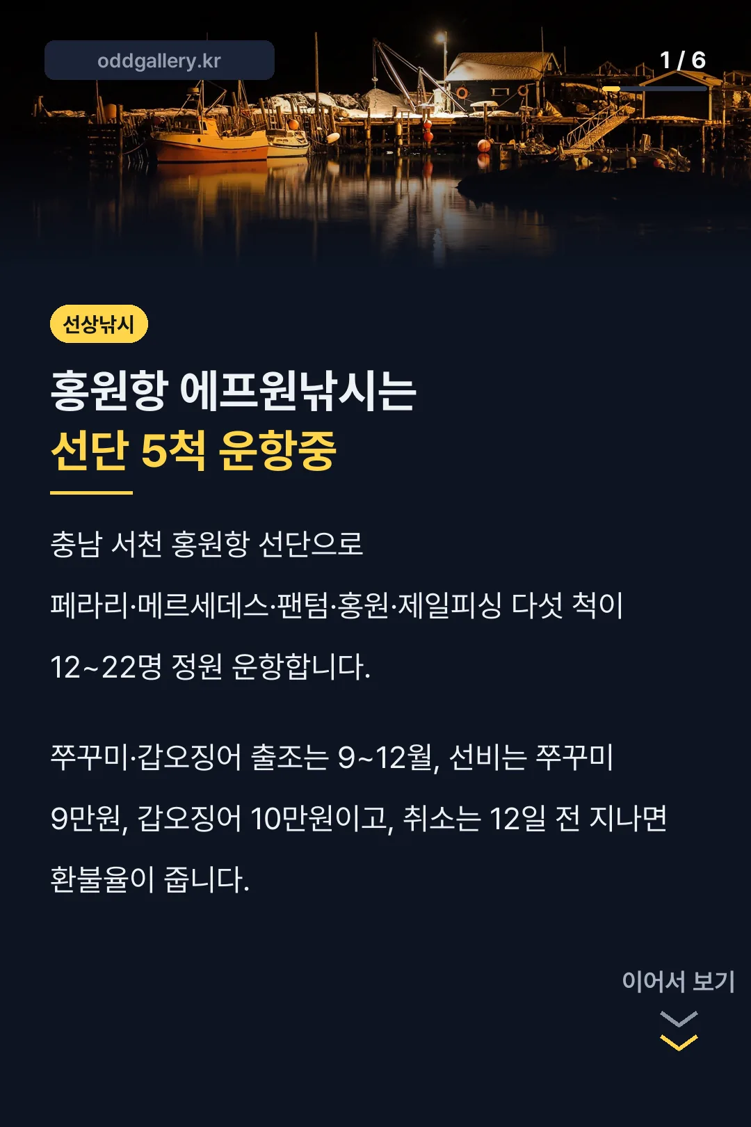 홍원항 에프원낚시는 선단 5척 운항중