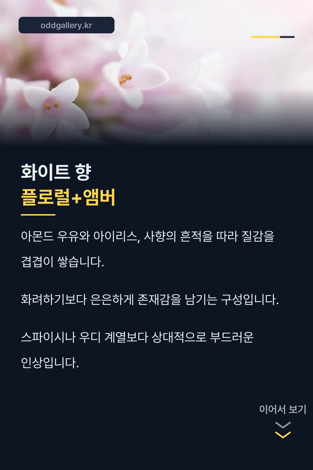 화이트 향 플로럴+앰버 계열
