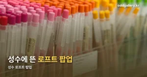 성수 로프트 팝업 정리 썸네일