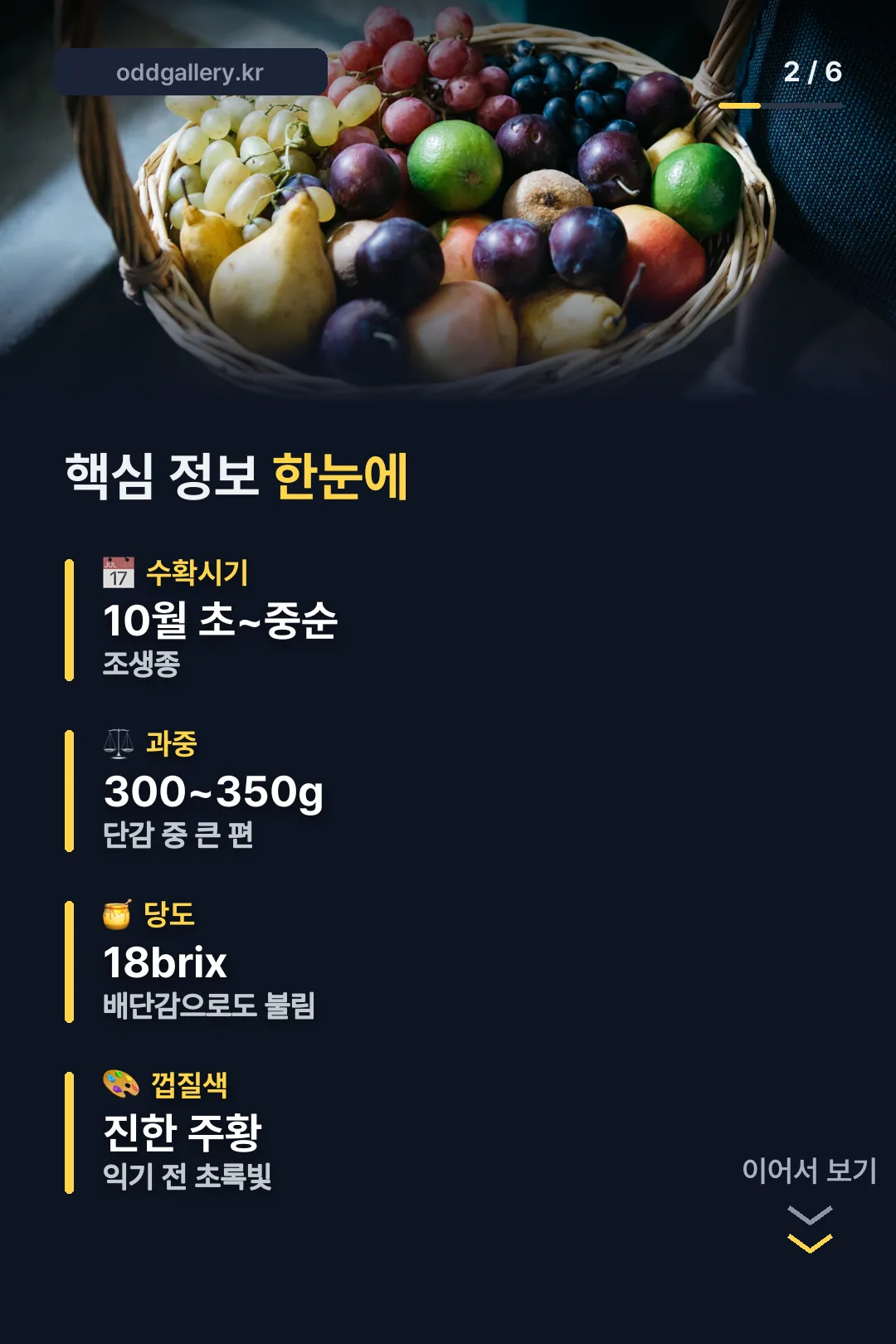 핵심 정보 요약