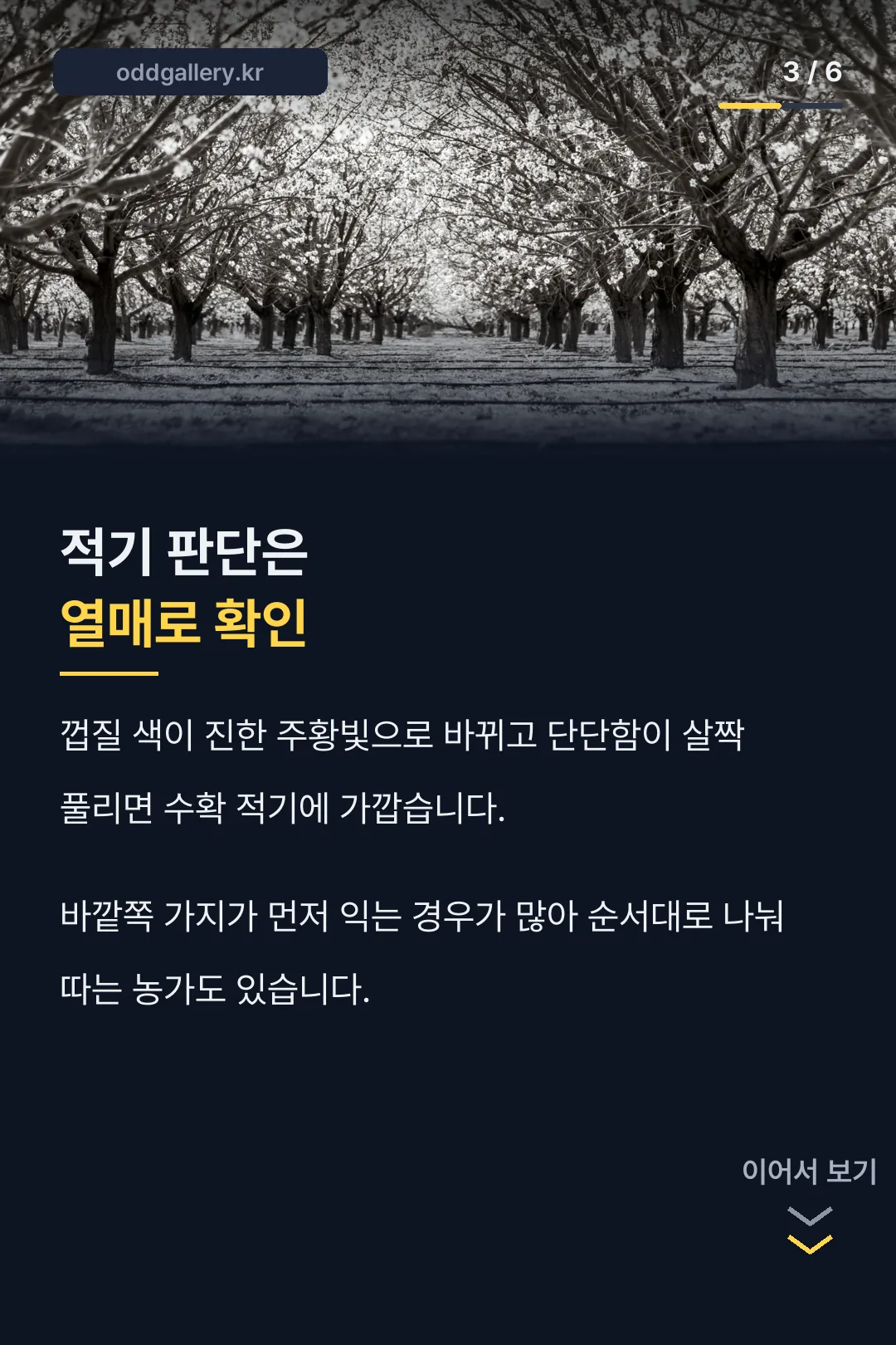 정확한 수확 시점 판단법