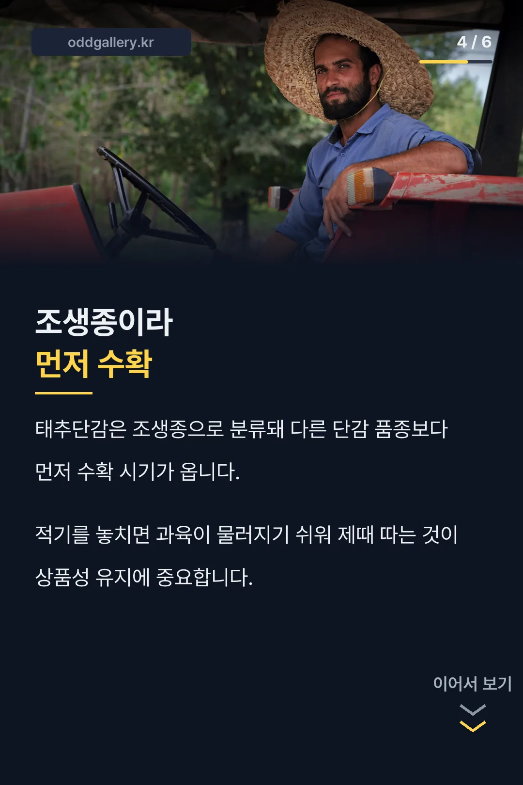 조생종 특징