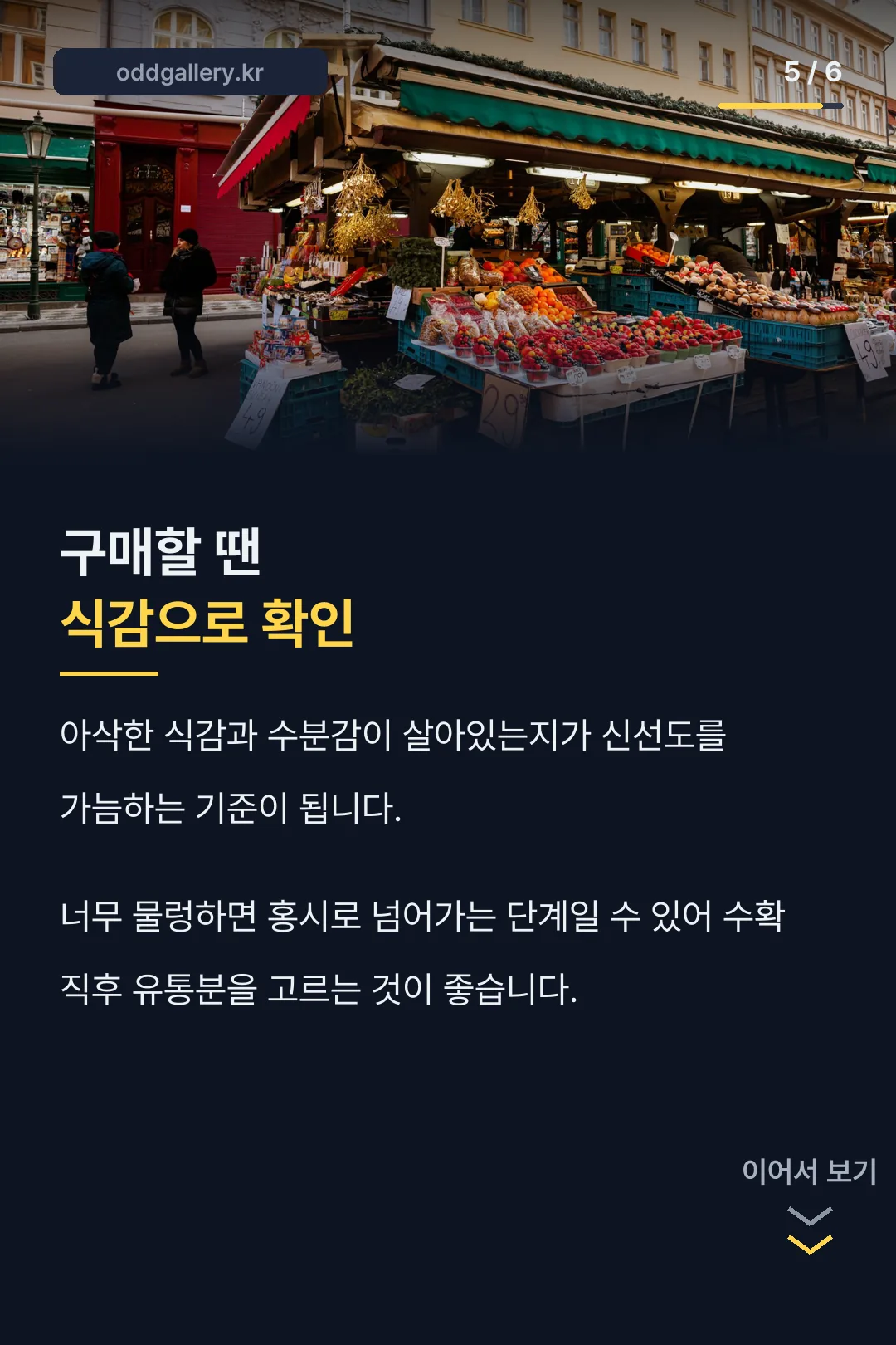 구매 시 확인할 점