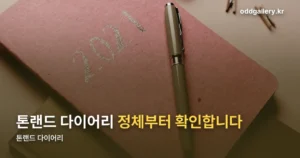 톤랜드 다이어리 정리 썸네일