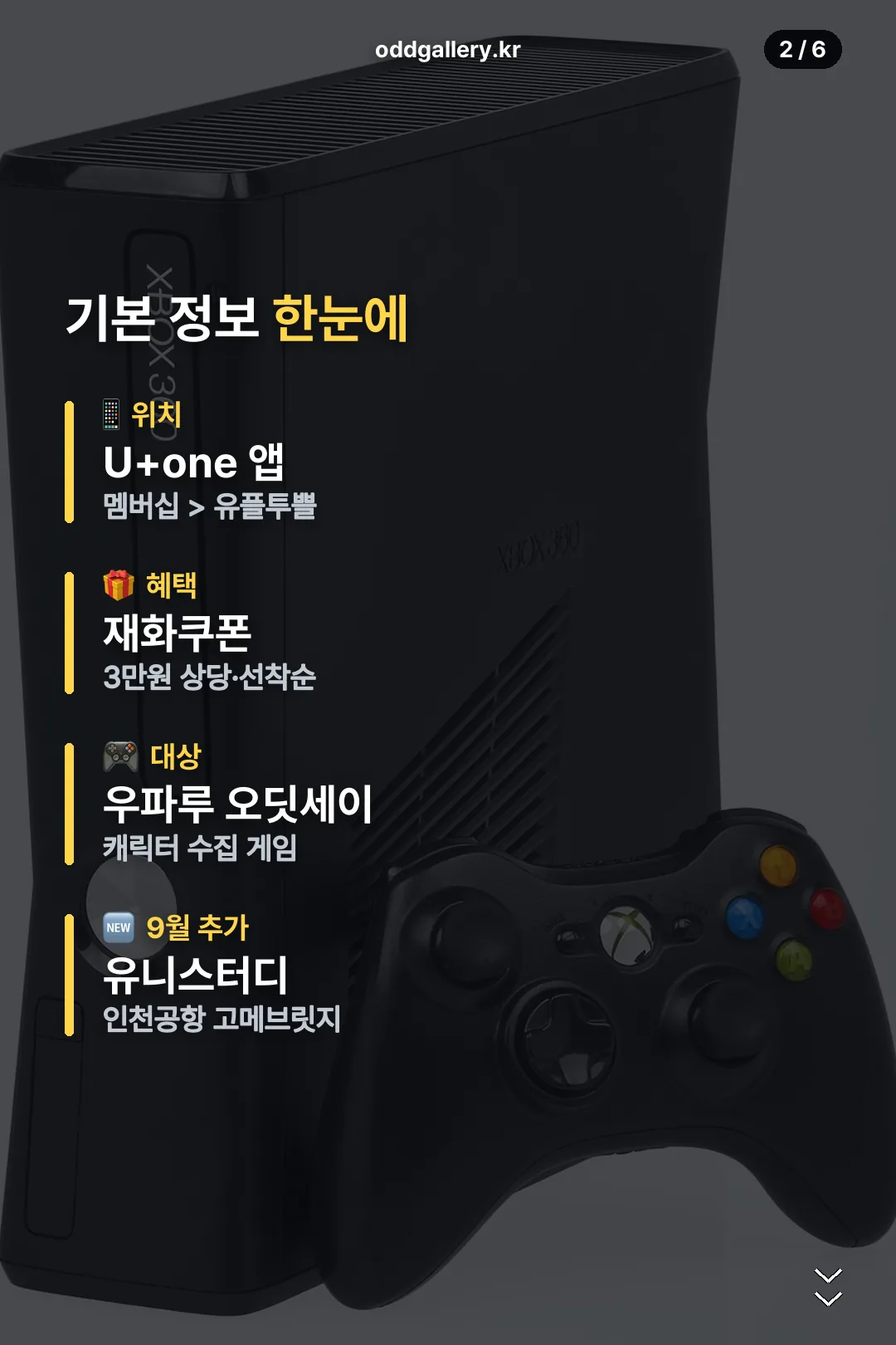 기본 정보 한눈에
