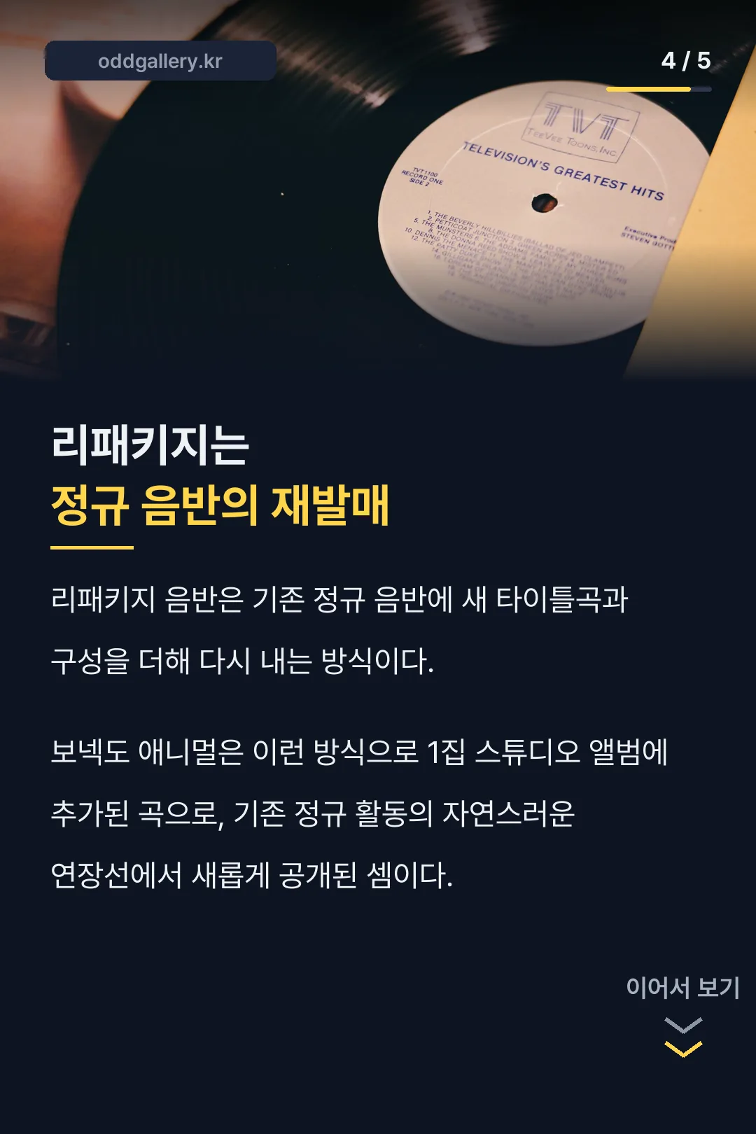 리패키지 음반 형식 설명